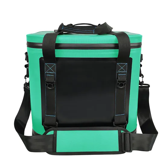Leyi OEM Cooler Backpack Custom Car Insulated Waterproof Personalized Cooler Bag