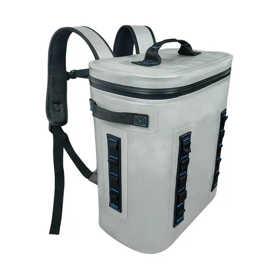 Picnic Insulated Cooler Bags