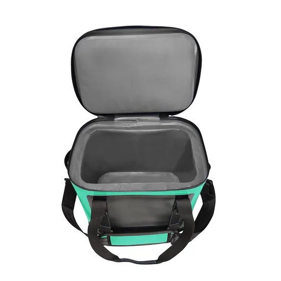 Leyi OEM Cooler Backpack Custom Car Insulated Waterproof Personalized Cooler Bag