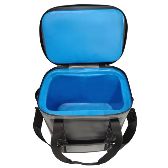 Leyi High Quality with OEM Customized Waterproof Reusable Ice Picnic Cooler Bag