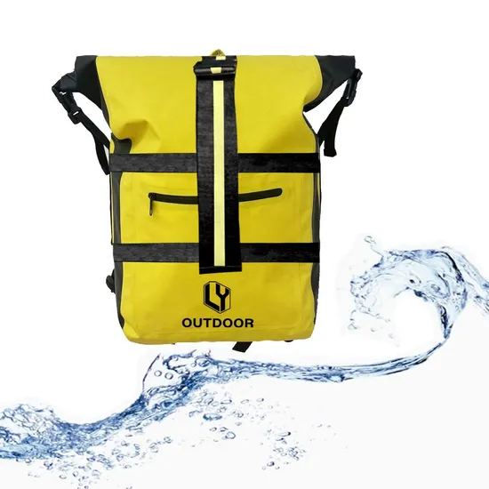 Leyi Outdoor Women Travel Backpack Waterproof Canvas Backpack with Custom Service Travelling Bags Travel Bags with High Quality
