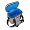 Outdoor Camping Travel Leakproof Thermal Cooler Bag Picnic Insulated Cooler Backpack Insulated Picnic Bags