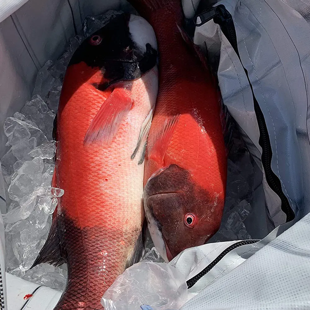 Heavy Duty Freezing Transport PVC Kill Fish Cooler Safely Leak Resistant Waterproof Sea Insulated Fishing Bags
