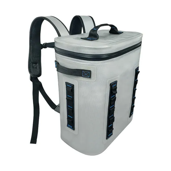 Leyi Picnic Lunch Bag Custom Logo, Backpack Cooler Insulated Leak Proof, Insulated Delivery Bags for Food