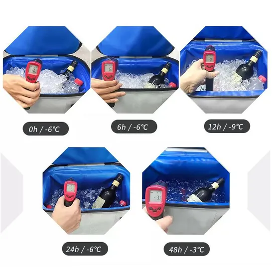 Picnic Insulated Cooler Bags