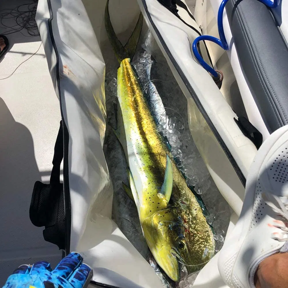 Leyi Custom Logo Fishing Reel Soft Cooler Dry Bag Backpack Insulated Waterproof Ice Cooler Fish Transport Bag