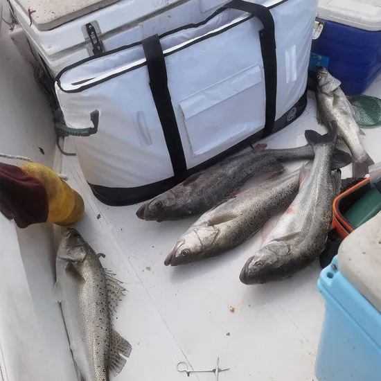 Leak Proof Fish Bag Large Portable Custom Logo PVC Durable Fishing Bag Waterproof Insulated Fishing Bag