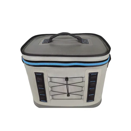 Leyi China Manufacturer Customized Waterproof Insulated Delivery Food Travel Picnic Cooler Bag