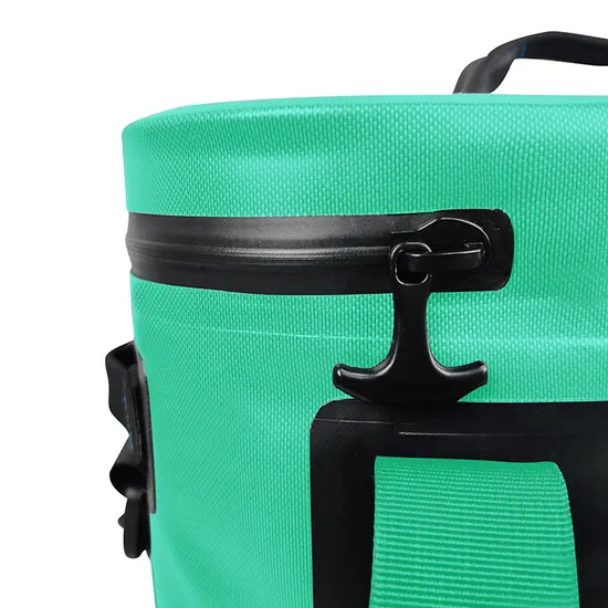 Leyi OEM Cooler Backpack Custom Car Insulated Waterproof Personalized Cooler Bag