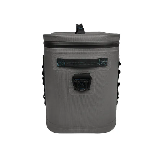 Leyi Double Wall Insulated Backpack for Food Dual Compartment Lunch Picnic Cooler Bags