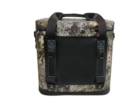 Leyi Custom Logo TPU Backpack Cooler Waterproof, Lunch Bags Customized Thermal Cooler Bag Backpack