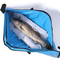 Outdoor Insulated Fish Cooler Bag Leakproof Fish Kill Bag Large Portable Waterproof Fish Bag