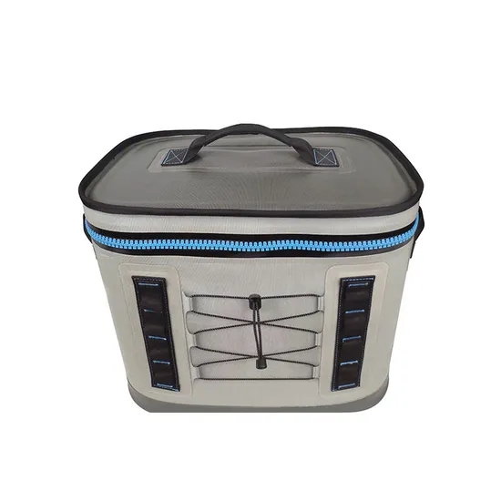 Leyi China Manufacturer Cooler Lunch Bag Delivery Food Bag in Cooler, Reusable Travel Picnic Waterproof Cooler Bags