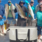 Leak Proof Fish Bag Large Portable Custom Logo PVC Durable Fishing Bag Waterproof Insulated Fishing Bag