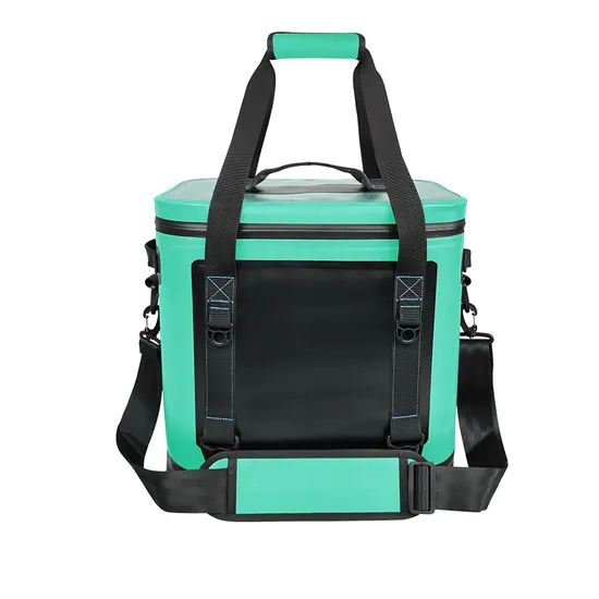 Leyi OEM Cooler Backpack Custom Car Insulated Waterproof Personalized Cooler Bag