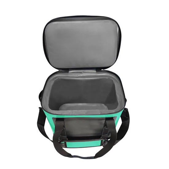 Leyi OEM Cooler Bag Custom Car Cooler Bag Insulated Waterproof Personalized Cooler Bag