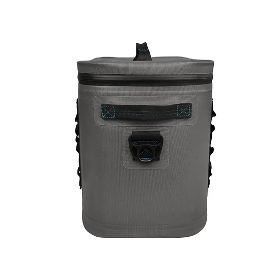 Leyi Double Wall Insulated Backpack Bag for Food Dual Compartment Lunch Bag Picnic Cooler Bags