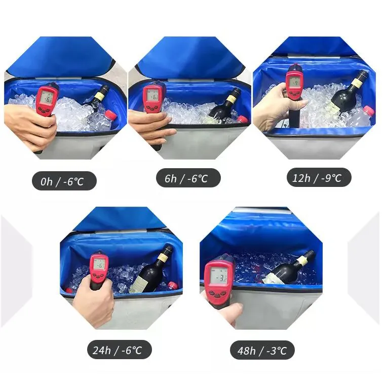 Picnic Insulated Cooler Bags